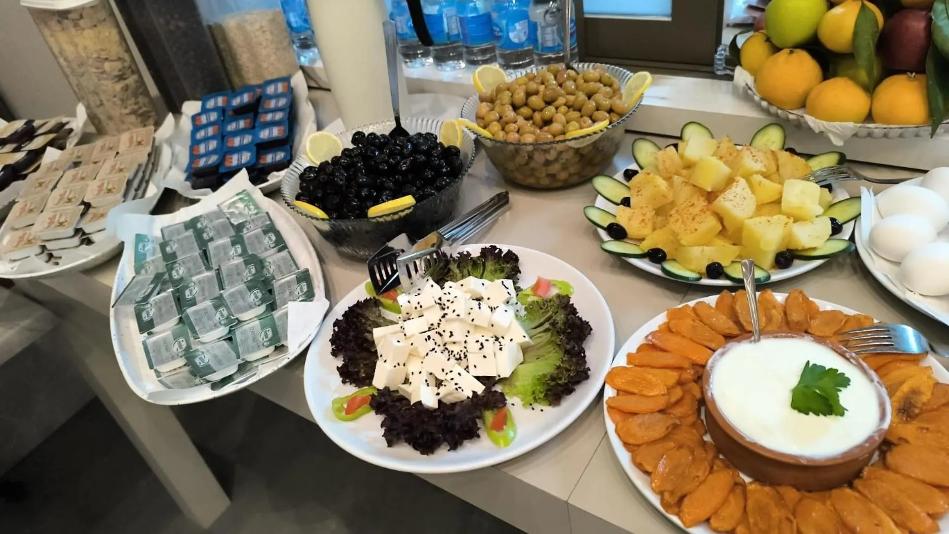 Zenia Hotel Antalya