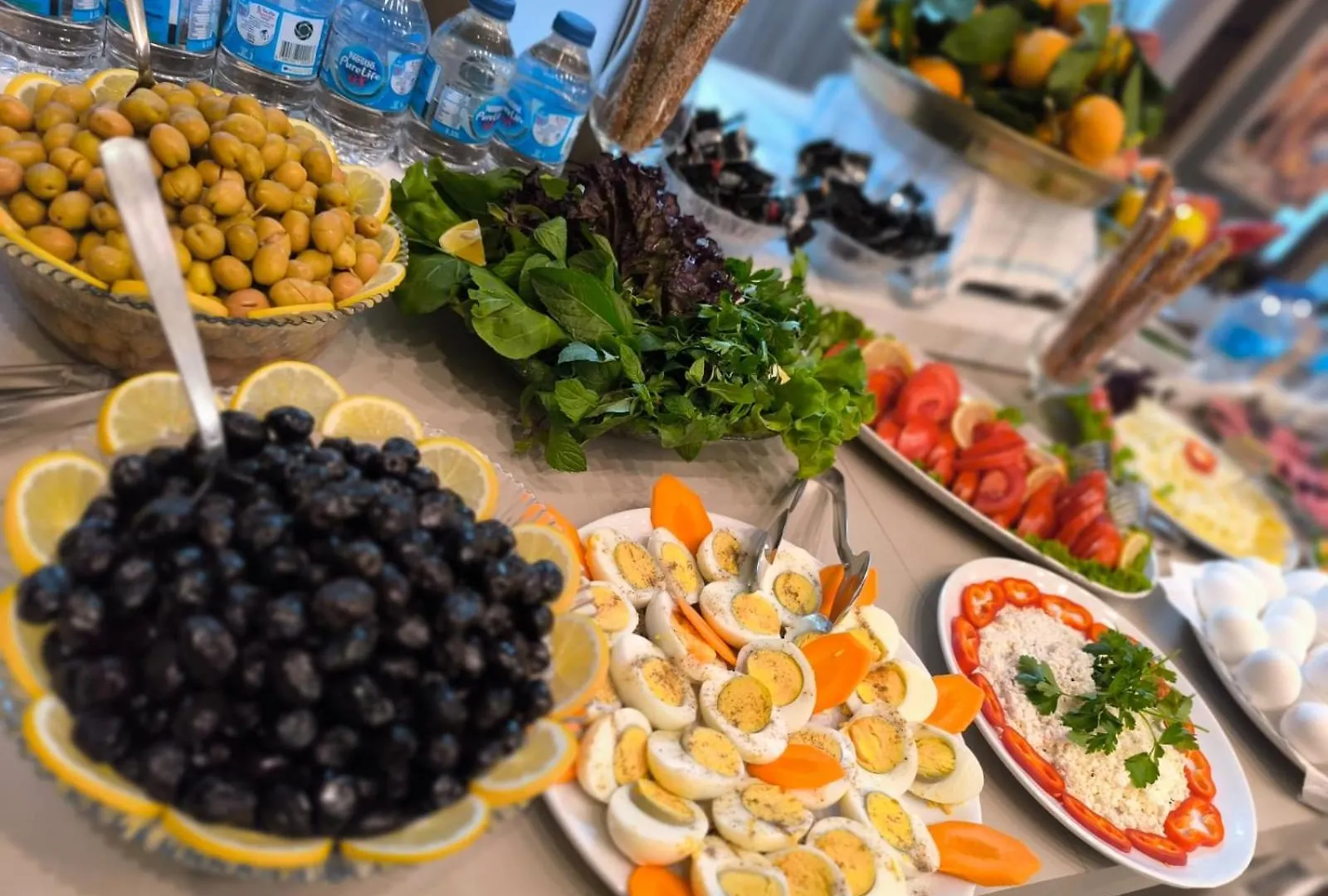 Zenia Hotel Antalya